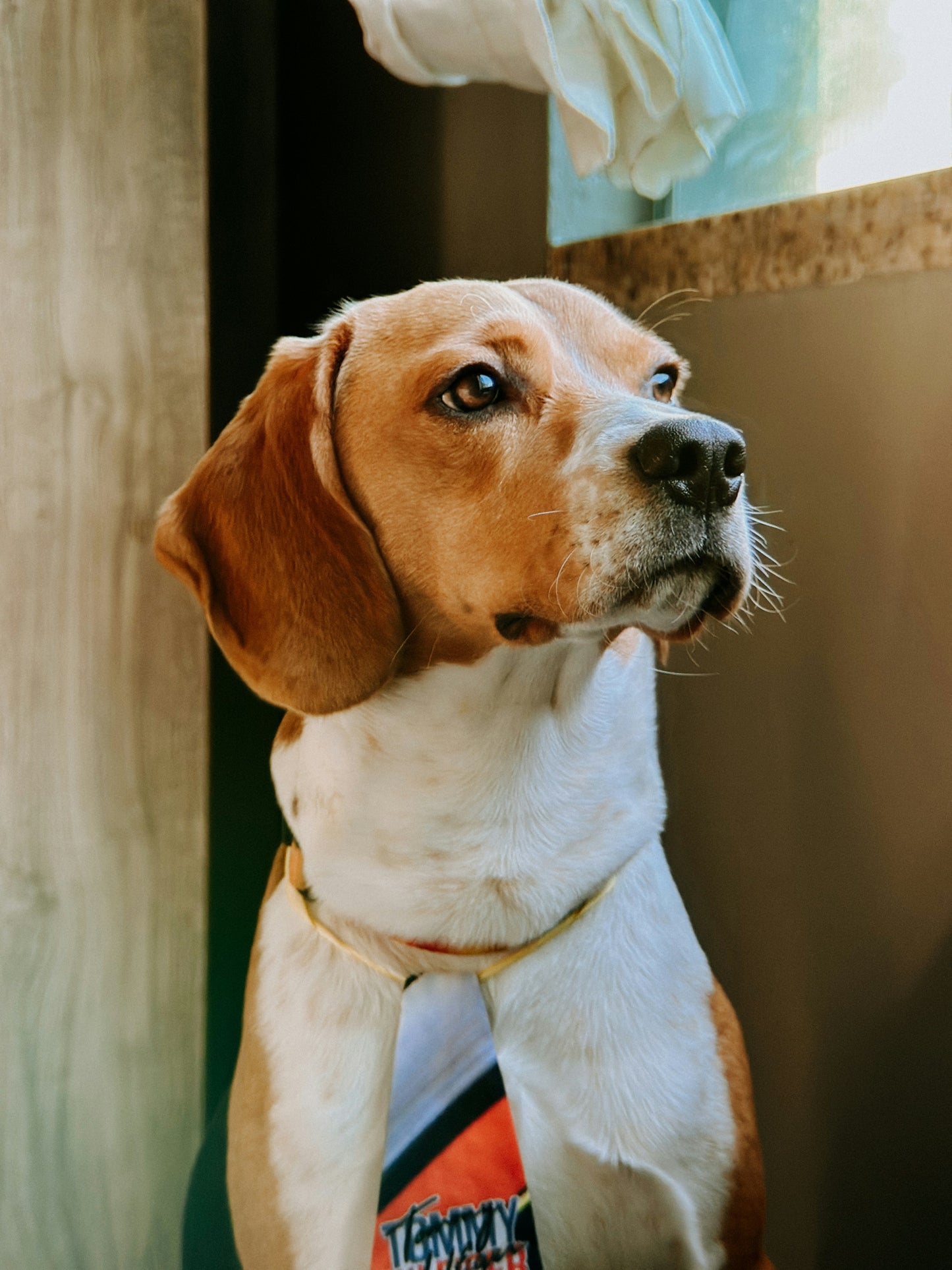 Custom Pet Portrait Travel Mug with a Handle